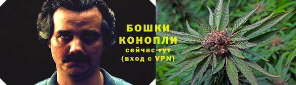 сатива Медвежьегорск