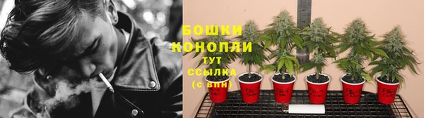 сатива Медвежьегорск