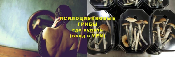 СК Мегион