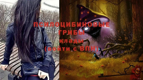 сатива Медвежьегорск