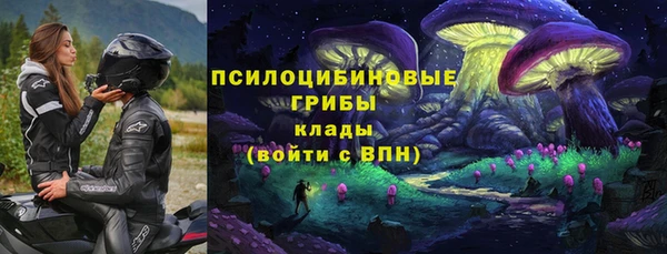 сатива Медвежьегорск