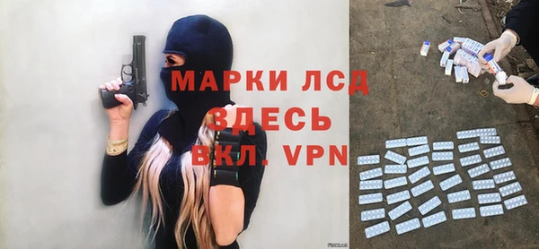 сатива Медвежьегорск