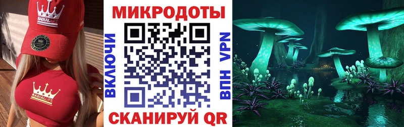 Псилоцибиновые грибы ЛСД  закладка  Олонец 