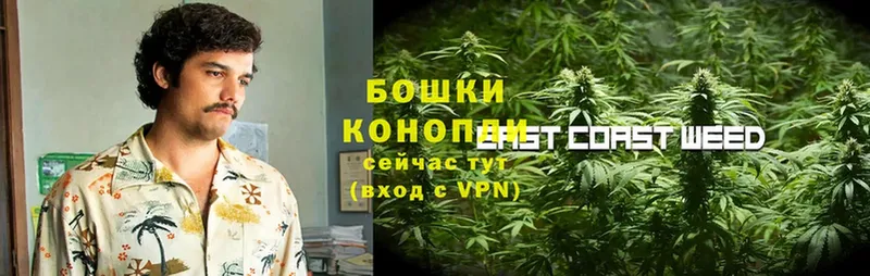 Бошки Шишки THC 21%  Олонец 